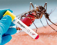 Dengue